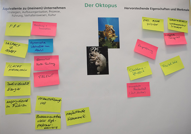 Oktopus-Handeln in den Unternehmen identifizieren